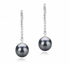 10-11mm AAA Quality Tahitian Cultured Pearl Earring Pair in Porsha Black