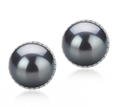 10-11mm AAA Quality Tahitian Cultured Pearl Earring Pair in Tammy Black