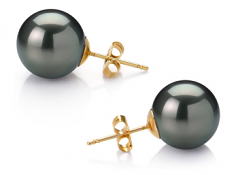 12-13mm AAA Quality Tahitian Cultured Pearl Earring Pair in Black