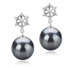 10-11mm AAA Quality Tahitian Cultured Pearl Earring Pair in Snow Black