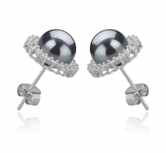 7-8mm AAAA Quality Freshwater Cultured Pearl Earring Pair in Dreama Black