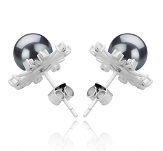 7-8mm AAAA Quality Freshwater Cultured Pearl Earring Pair in Natasha Black