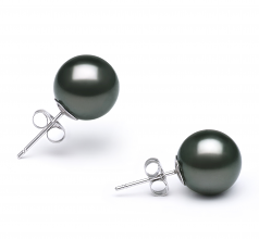 10-11mm AA Quality Tahitian Cultured Pearl Earring Pair in Black