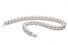 12-13mm AAA Quality South Sea Cultured Pearl Necklace in White