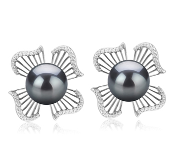 10-11mm AAA Quality Tahitian Cultured Pearl Earring Pair in Abigail Black