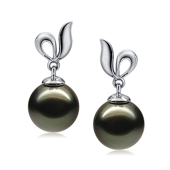 9-10mm AAA Quality Tahitian Cultured Pearl Earring Pair in Jeannie Black