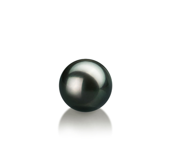 7-8mm AAA Quality Japanese Akoya Loose Pearl in Black