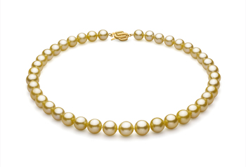 Gold 9-11.7mm AAA Quality South Sea 14K Yellow Gold Cultured Pearl Necklace