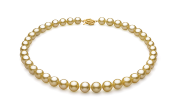 Gold 9.04-11.83mm AAA Quality South Sea 14K Yellow Gold Cultured Pearl Necklace