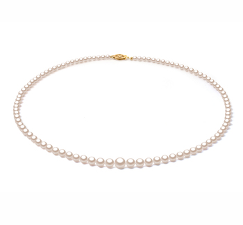 White 3.7-7.5mm AAA Quality Japanese Akoya Gold filled Cultured Pearl Necklace