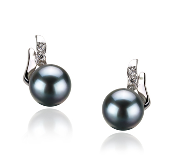 6-7mm AA Quality Japanese Akoya Cultured Pearl Earring Pair in Sydney Black