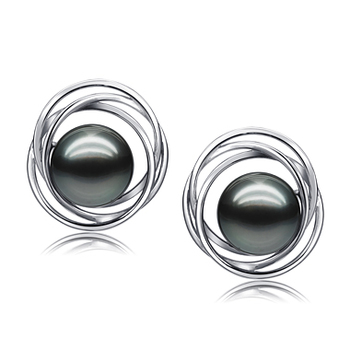 9-10mm AAA Quality Tahitian Cultured Pearl Earring Pair in Triple Circle Stud Black